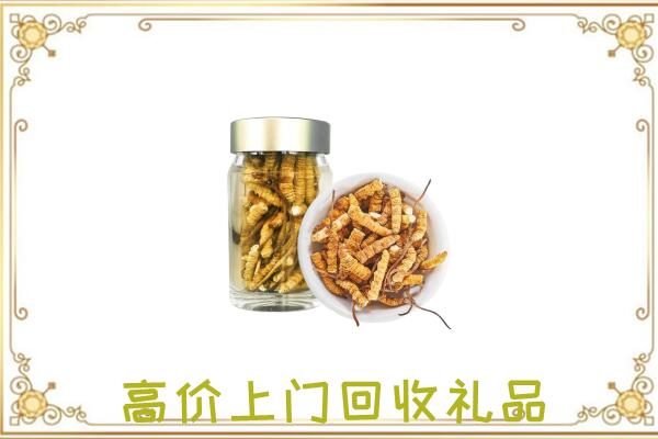 濮阳县周边回收虫草